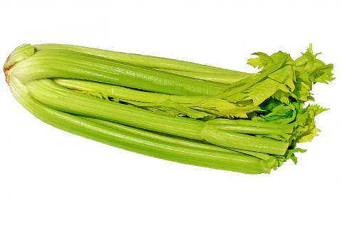 Celery. The Dutch for "celery" is "selder".