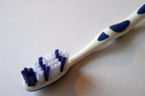 Toothbrush. The Dutch for "toothbrush" is "tandenborstel".