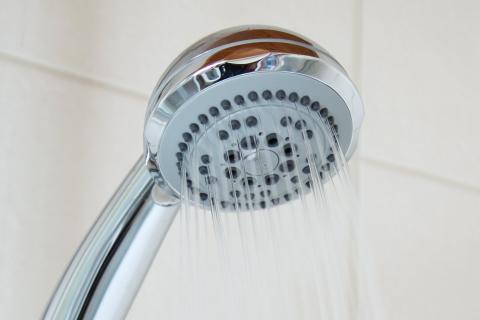 Shower head. The French for "shower head" is "pomme de douche".