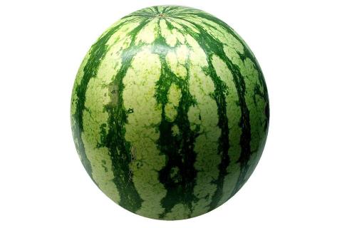 A watermelon. The French for "a watermelon" is "une pastèque".