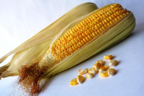 Sweetcorn. The French for "sweetcorn" is "maïs".