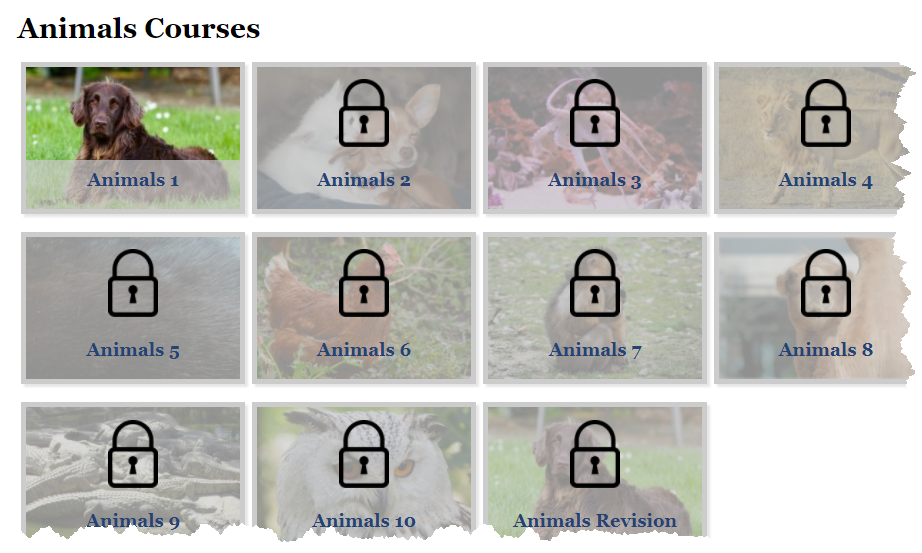 Animals Courses
