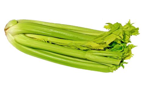 Celery. The Thai for "celery" is "ขึ้นฉ่าย".