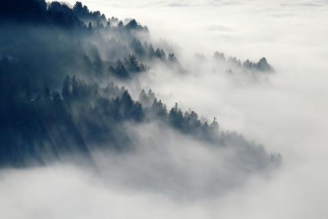 Fog; mist. The Thai for "fog; mist" is "หมอก".