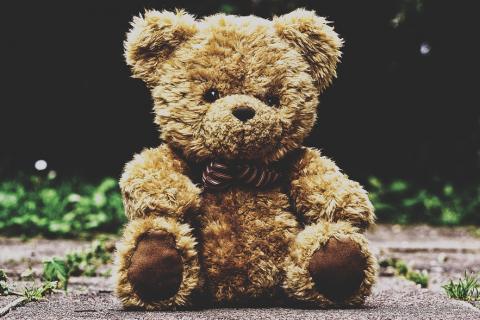 Teddy bear. The Thai for "teddy bear" is "ตุ๊กตาหมี".