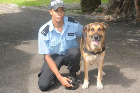 A policeman and a police dog. The Thai for "a policeman and a police dog" is "ตำรวจและสุนัขตำรวจ".