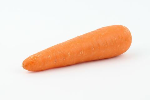 Carrot. The Croatian for "carrot" is "mrkva". Carrot. The Croatian for "carrot" is "mrkva".