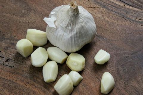 Garlic. The Croatian for "garlic" is "češnjak". Garlic. The Croatian for "garlic" is "češnjak".