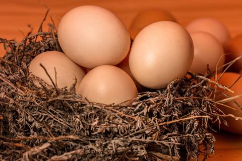 Egg. The Croatian for "egg" is "jaje". Egg. The Croatian for "egg" is "jaje".