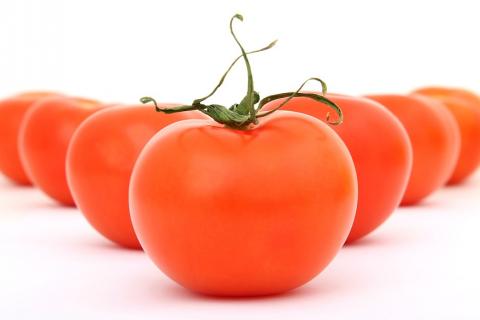 Tomato. The Croatian for "tomato" is "rajčica". Tomato. The Croatian for "tomato" is "rajčica".
