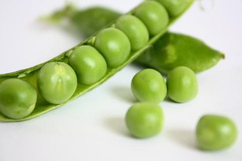 Pea. The Croatian for "pea" is "grašak".