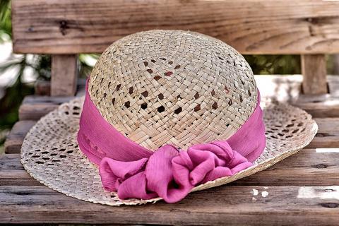 The hat. The Dutch for "the hat" is "de hoed".