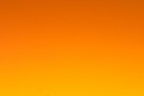 Orange yellow. The Dutch for "orange yellow" is "oranje-geel". Orange yellow. The Dutch for "orange yellow" is "oranje-geel".