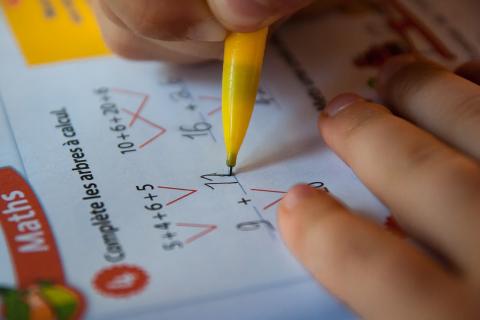 Exams. The Dutch for "exams" is "examens". Exams. The Dutch for "exams" is "examens".