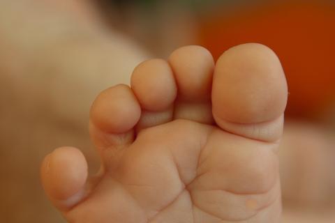 Toes. The Dutch for "toes" is "tenen". Toes. The Dutch for "toes" is "tenen".
