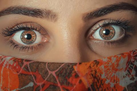 The eyes. The Dutch for "the eyes" is "de ogen". The eyes. The Dutch for "the eyes" is "de ogen".