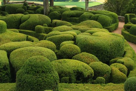 Bush. The Dutch for "bush" is "struik". Bush. The Dutch for "bush" is "struik".