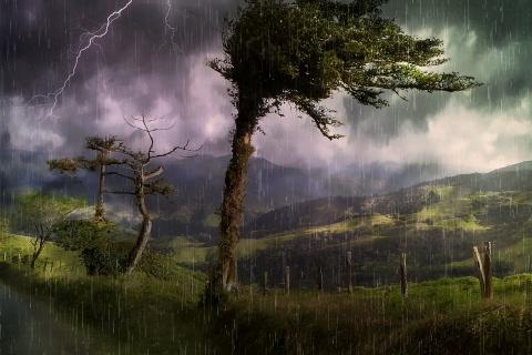 Thunderstorm. The Dutch for "thunderstorm" is "onweer". Thunderstorm. The Dutch for "thunderstorm" is "onweer".