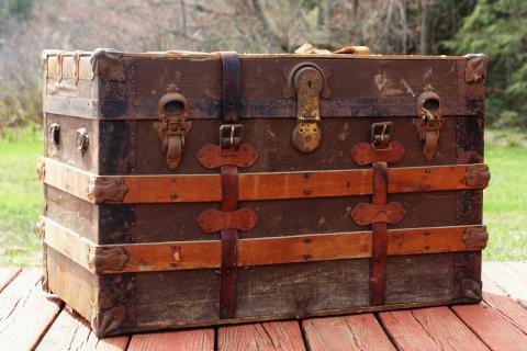 Trunk. The Dutch for "trunk" is "hutkoffer". Trunk. The Dutch for "trunk" is "hutkoffer".
