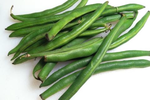 The green beans. The Dutch for "the green beans" is "de groene bonen". The green beans. The Dutch for "the green beans" is "de groene bonen".