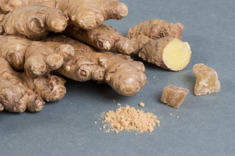 Ginger. The Dutch for "ginger" is "gember". Ginger. The Dutch for "ginger" is "gember".