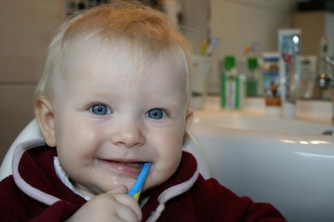 To brush. The Dutch for "to brush" is "poetsen". To brush. The Dutch for "to brush" is "poetsen".