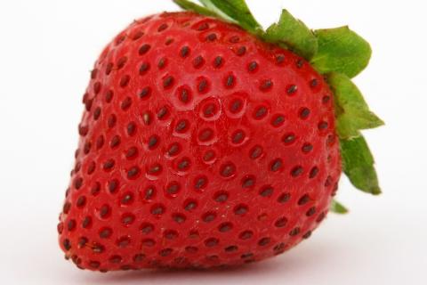 Strawberry. The Dutch for "strawberry" is "aardbei". Strawberry. The Dutch for "strawberry" is "aardbei".