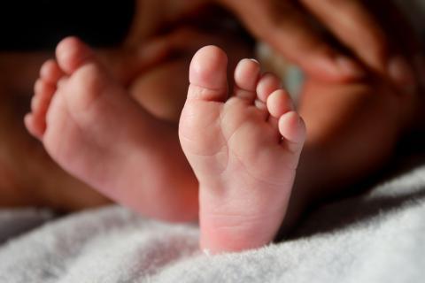 Foot. The Dutch for "foot" is "voet". Foot. The Dutch for "foot" is "voet".