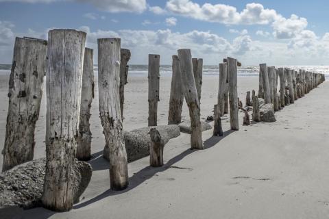 Posts. The Dutch for "posts" is "palen". Posts. The Dutch for "posts" is "palen".