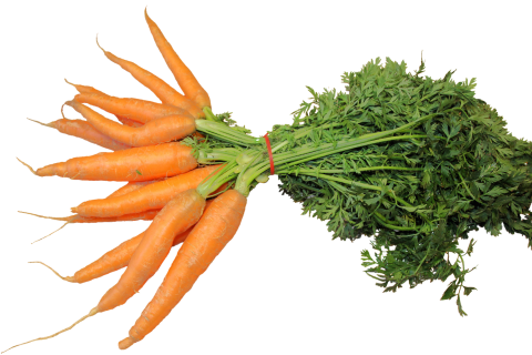 Carrots. The Dutch for "carrots" is "wortelen". Carrots. The Dutch for "carrots" is "wortelen".