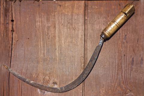 Sickle. The Dutch for "sickle" is "sikkel". Sickle. The Dutch for "sickle" is "sikkel".