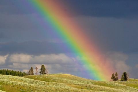 Rainbow. The Dutch for "rainbow" is "regenboog". Rainbow. The Dutch for "rainbow" is "regenboog".