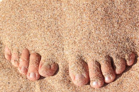 Toe. The Dutch for "toe" is "teen". Toe. The Dutch for "toe" is "teen".