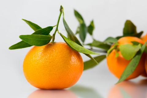 Mandarin. The Dutch for "mandarin" is "mandarijn". Mandarin. The Dutch for "mandarin" is "mandarijn".