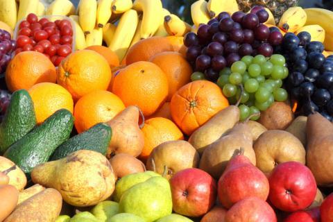 Fruit. The Dutch for "fruit" is "fruit". Fruit. The Dutch for "fruit" is "fruit".