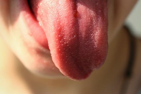 Tongue. The Dutch for "tongue" is "tong".