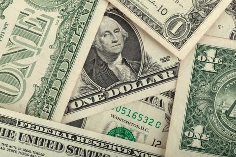Dollars. The Dutch for "dollars" is "dollars".