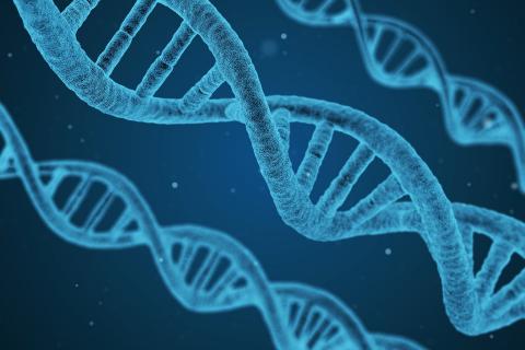 Gene. The Dutch for "gene" is "gen". Gene. The Dutch for "gene" is "gen".