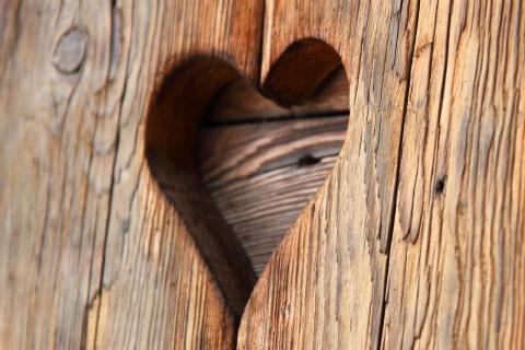 Heart. The Dutch for "heart" is "harte". Heart. The Dutch for "heart" is "harte".