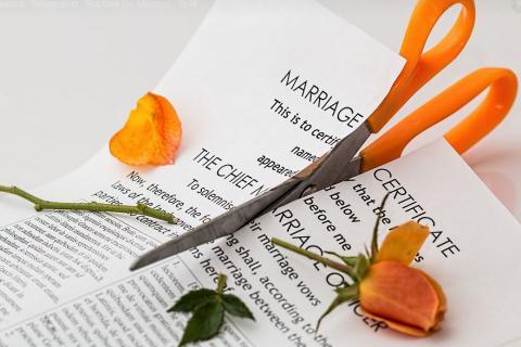 To get divorced. The Dutch for "to get divorced" is "scheiden".