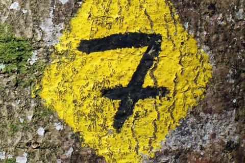 Seven. The Dutch for "seven" is "zeven". Seven. The Dutch for "seven" is "zeven".