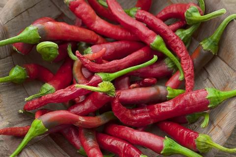 Spicy. The Dutch for "spicy" is "pikant". Spicy. The Dutch for "spicy" is "pikant".