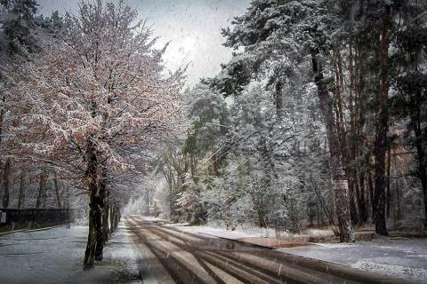 The winter. The Dutch for "the winter" is "de winter". The winter. The Dutch for "the winter" is "de winter".