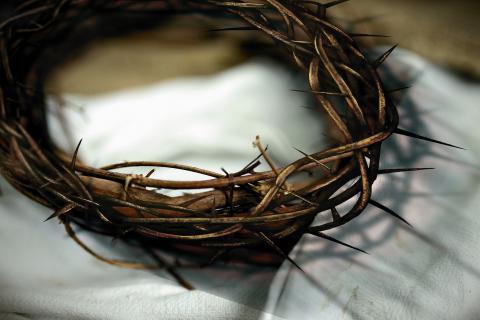 Crown of thorns. The Dutch for "crown of thorns" is "doornenkroon". Crown of thorns. The Dutch for "crown of thorns" is "doornenkroon".