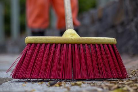 Broom. The Dutch for "broom" is "bezem". Broom. The Dutch for "broom" is "bezem".