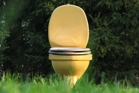 Loo. The Dutch for "loo" is "plee". Loo. The Dutch for "loo" is "plee".