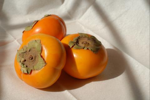 Persimmon. The Dutch for "persimmon" is "kaki". Persimmon. The Dutch for "persimmon" is "kaki".