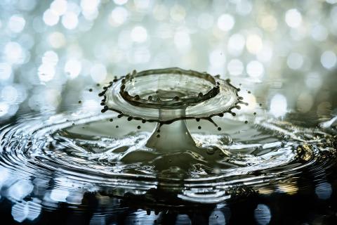 To splash. The Dutch for "to splash" is "spatten". To splash. The Dutch for "to splash" is "spatten".