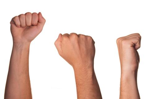 Fists. The Dutch for "fists" is "vuisten". Fists. The Dutch for "fists" is "vuisten".