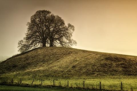 Hill. The Dutch for "hill" is "heuvel". Hill. The Dutch for "hill" is "heuvel".